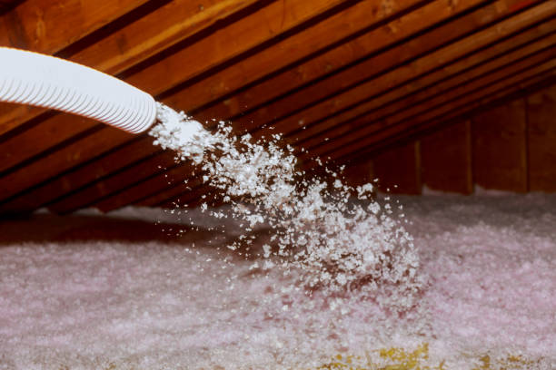 Best Soundproof Insulation Installation  in Everson, WA